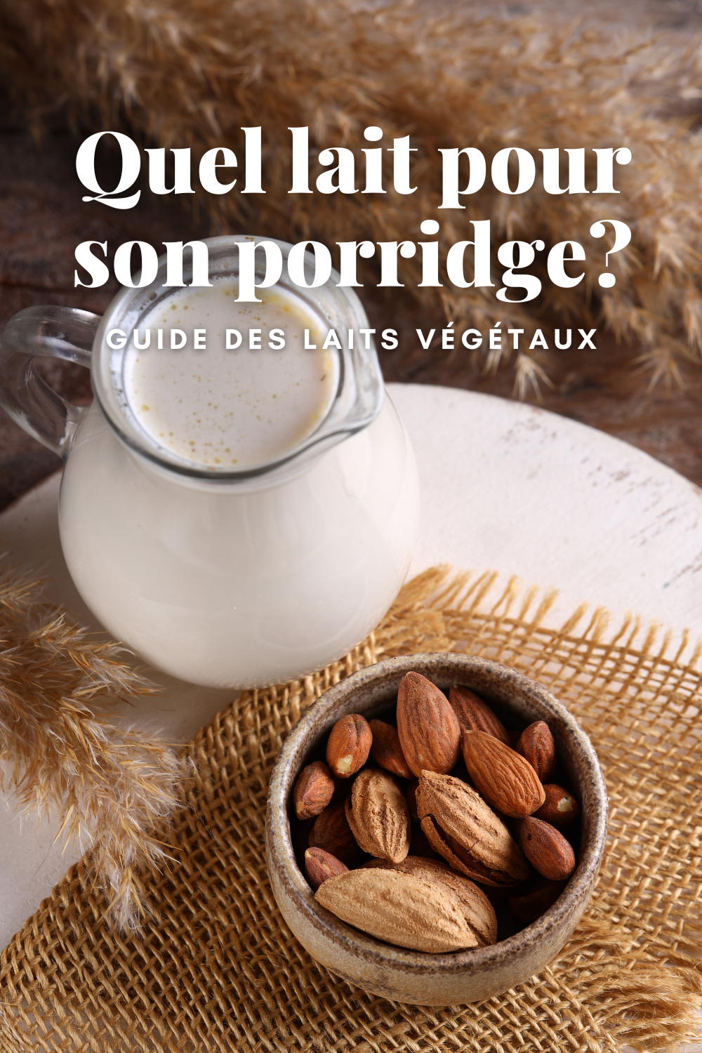 Guide des laits végétaux pour un porridge parfait