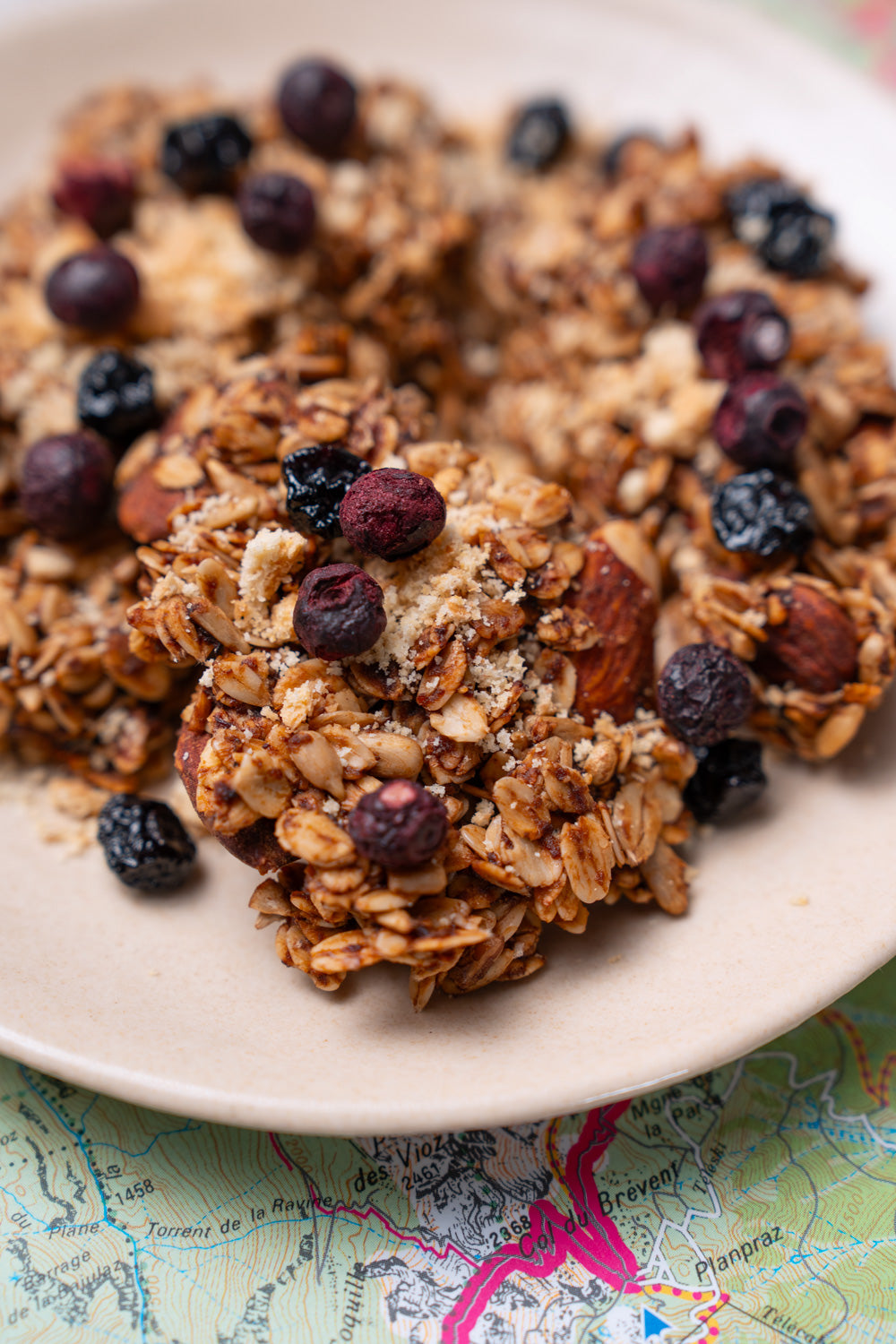 Granola Myrtille - Escale Alpine