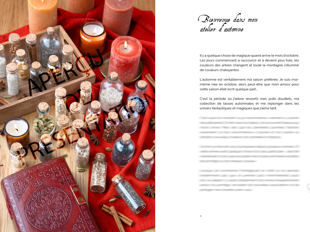 Carnet d'automne - Porridges, douceurs & recettes de saison