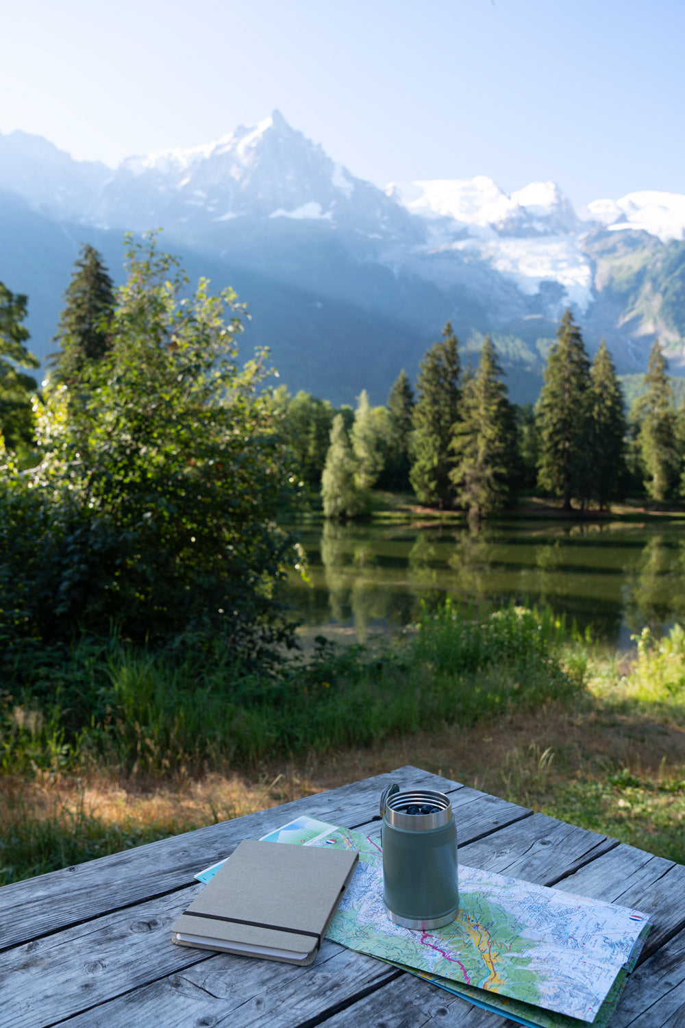 Porridge Myrtille - Escale Alpine